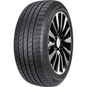 DOUBLESTAR DU01 100V DOT22